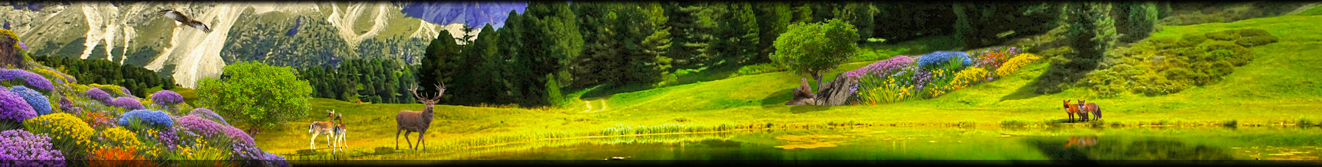 Earth phpBb theme Earth nature field